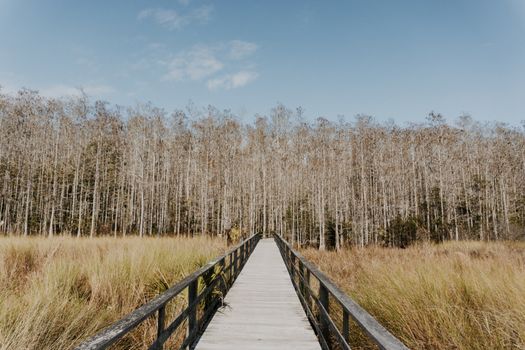 Gilchrist County