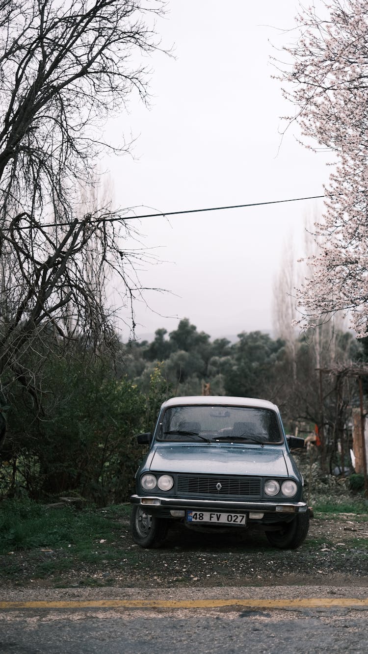 Vintage Renault Car Parked By Road