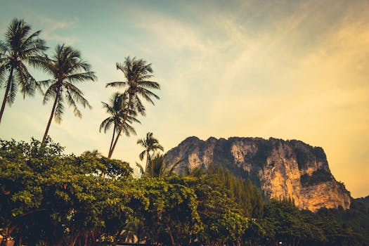Scenic view of towering limestone cliffs and palm trees in Krabi, Thailand at sunset.