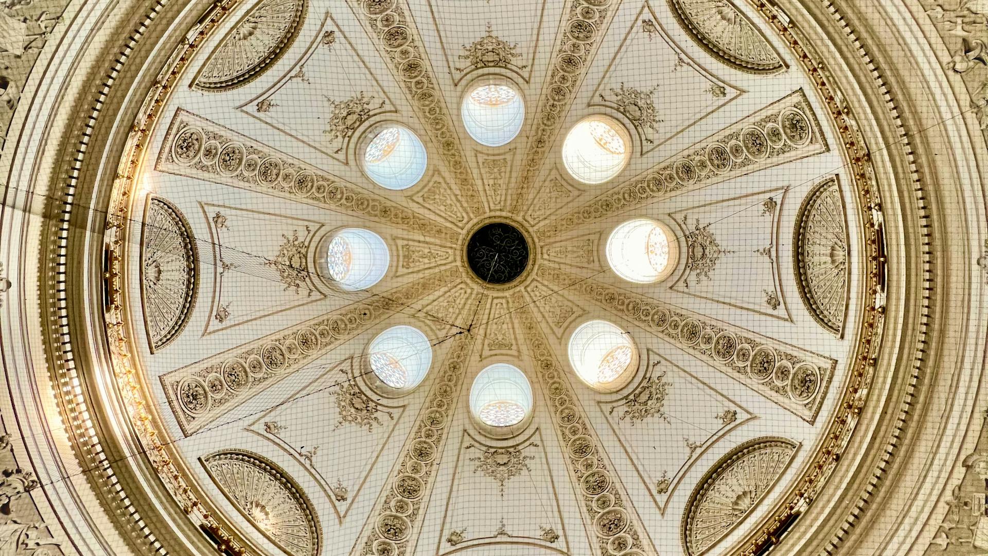 Viena - Professional handyman and home services