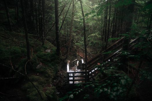 Nova Scotia's Abandoned Theme Park Is Looking for a New Life