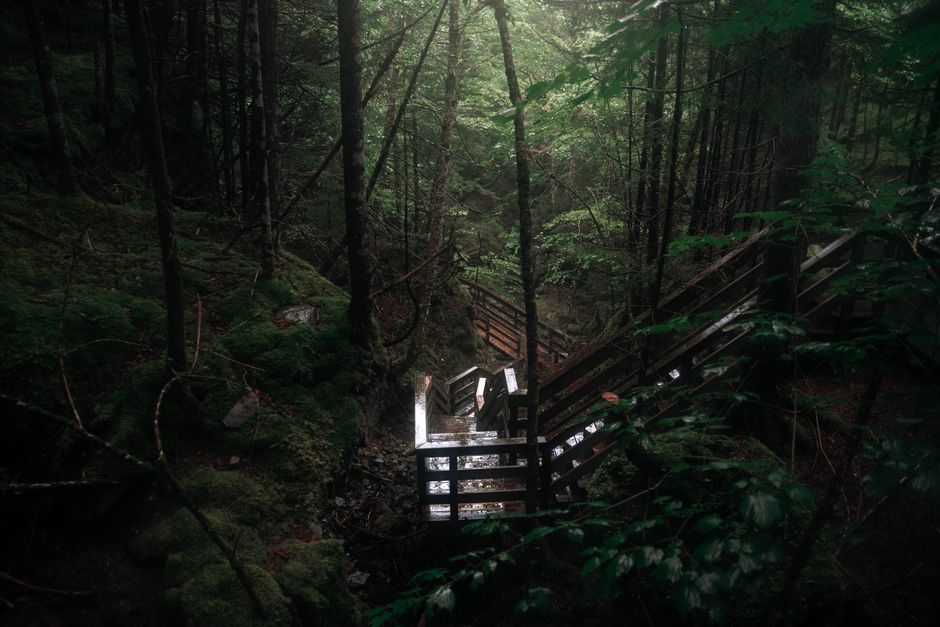Nova Scotia's Abandoned Theme Park Is Looking for a New Life
