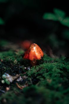 Nova Scotia