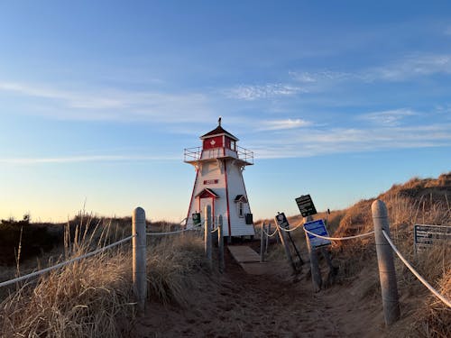 Бесплатное стоковое фото с голубое небо, канада, коричневое поле