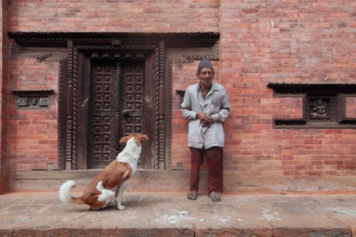 Free An elderly man stands with a dog by an intricately carved brick wall. Stock Photo