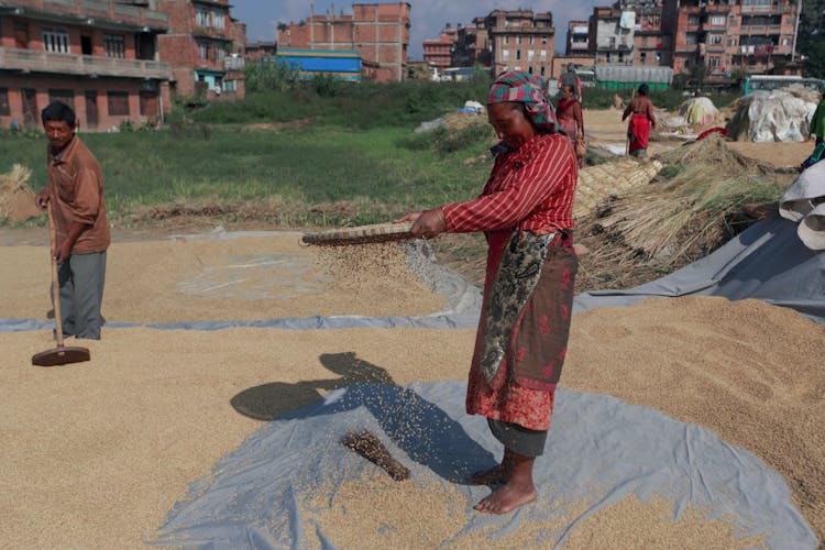 Local Farmers Sun Drying Crops