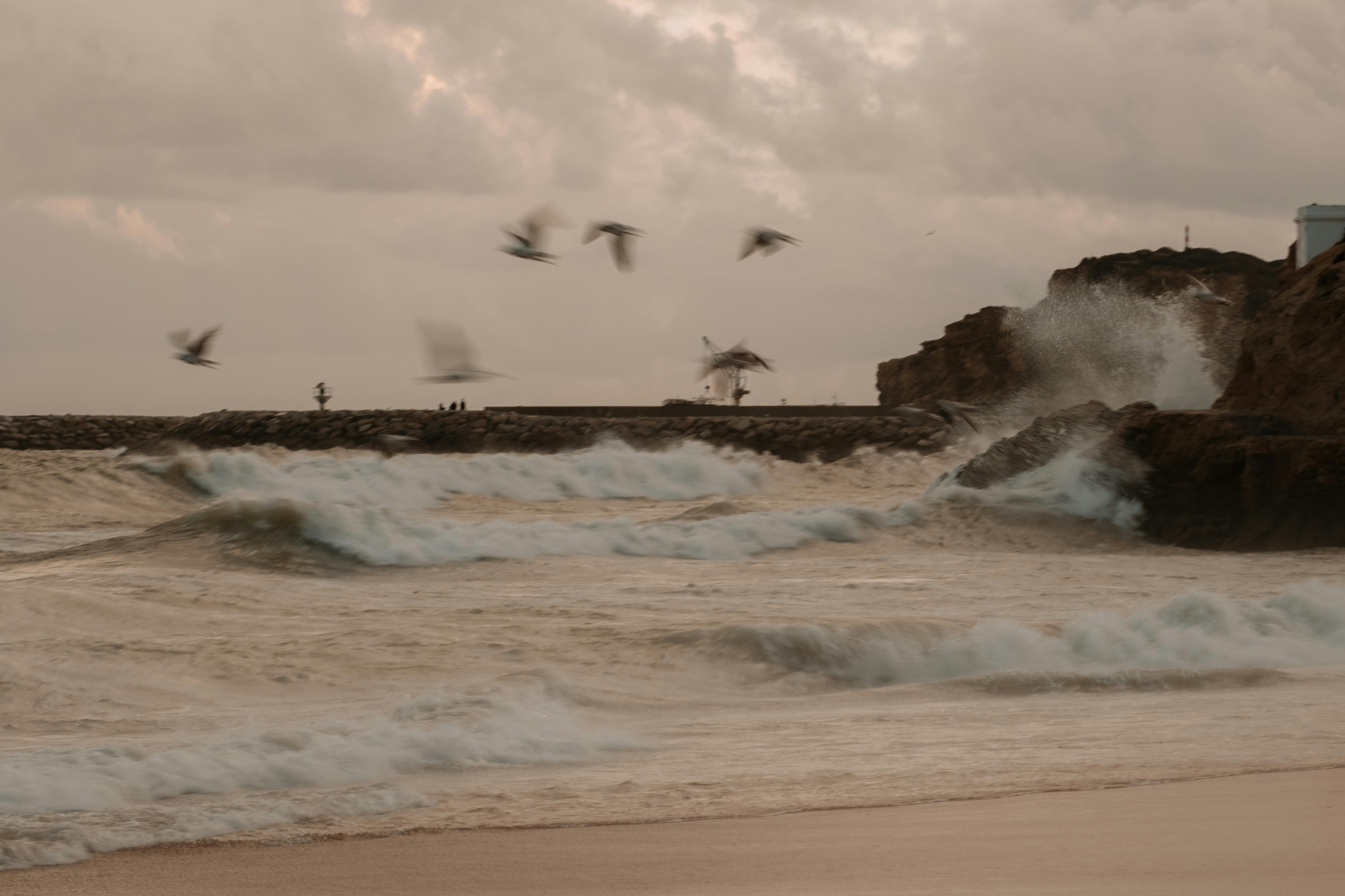 A stormy beach scene with birds flying and waves crashing against the rocks under cloudy skies.