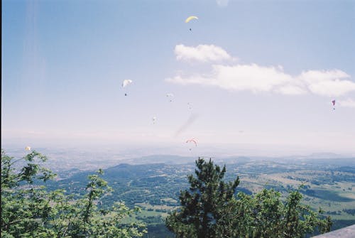 Základová fotografie zdarma na téma letecké sporty, modrá obloha, paraglidery