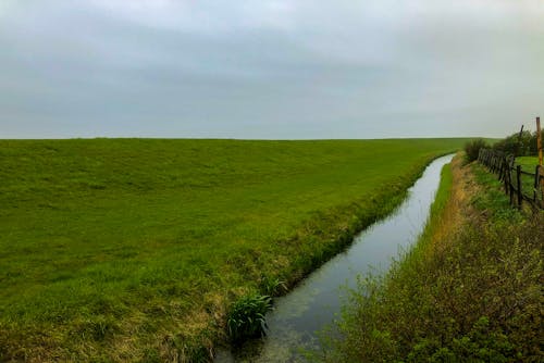 Green Grass Field Under the Gray Sky