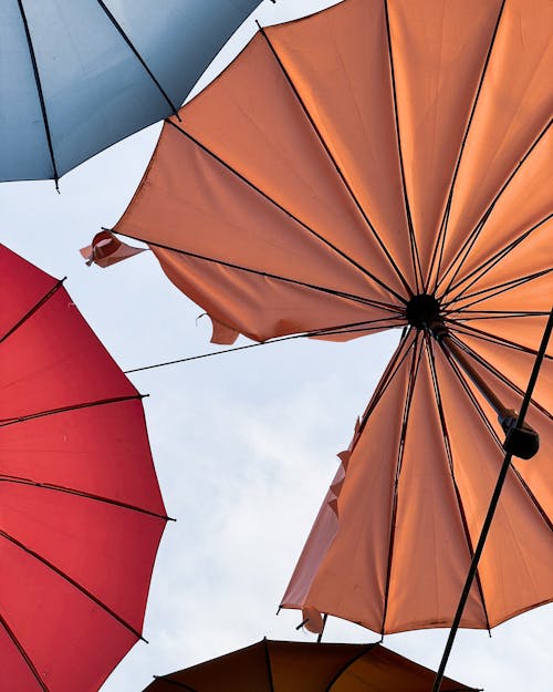 A Broken Orange Umbrella