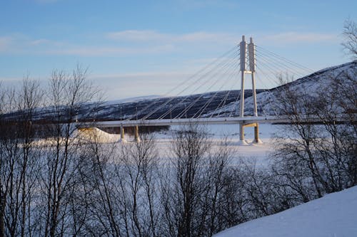 Suspension Bridge Over the Frozen River