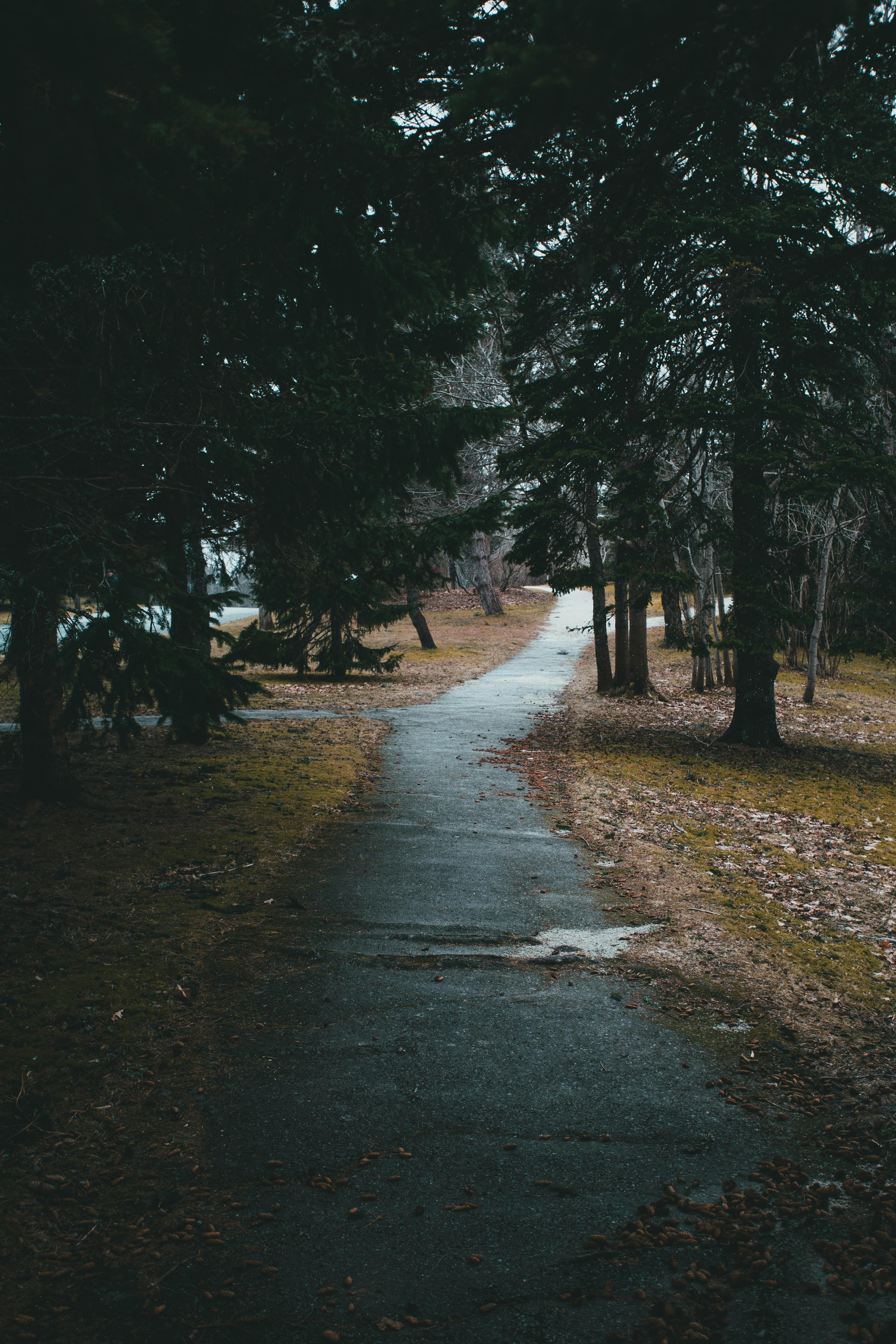 An Empty Concrete Pathway · Free Stock Photo