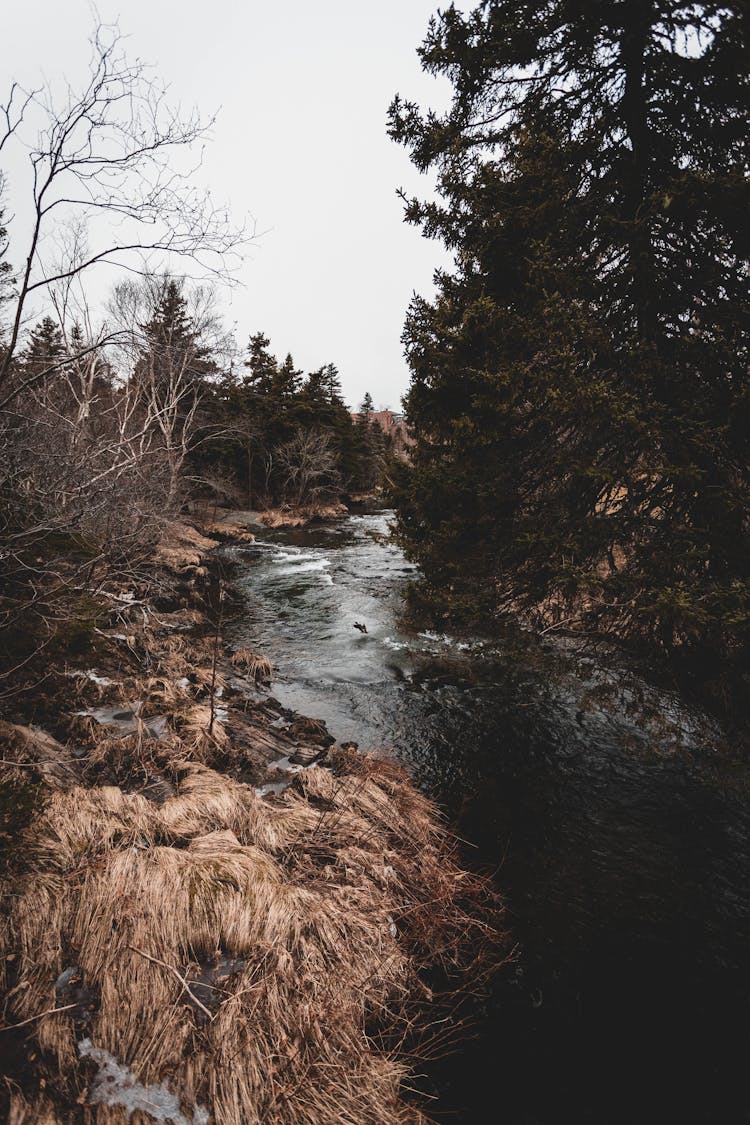 River Flow During Winter