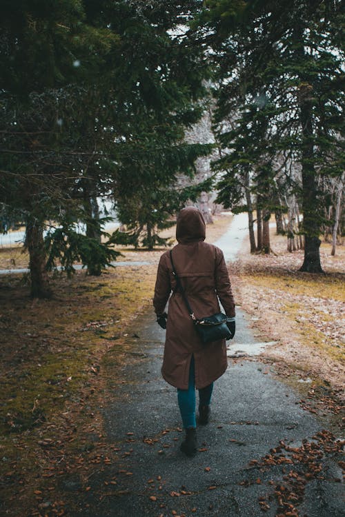 Person in Brown Jacket Walking on Path