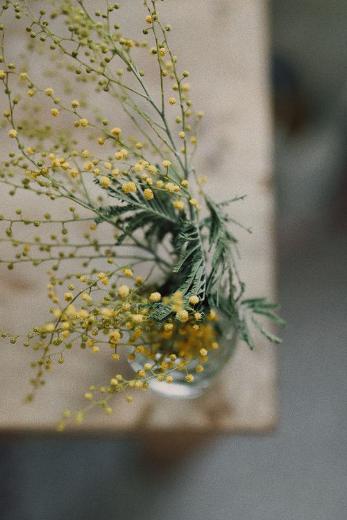 Free Delicate yellow acacia flowers in a glass vase on a wooden surface in soft focus. Stock Photo