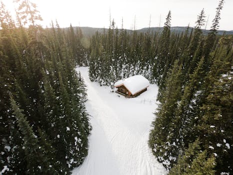 Stunning aerial shot of a winter cabin surrounded by snow and evergreen trees.