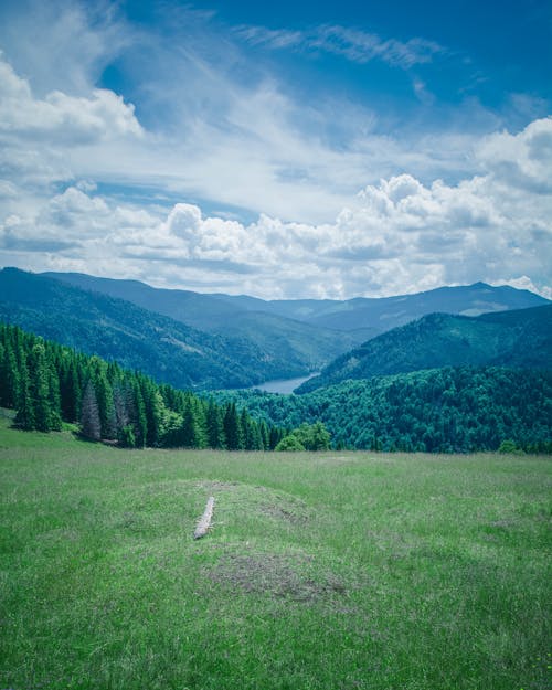 Kostenloses Stock Foto zu berge, blauer himmel, grüne bäume