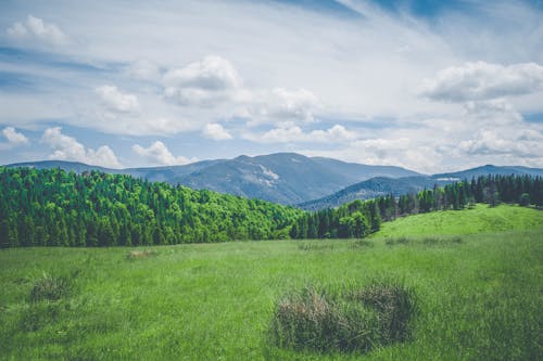 Kostenloses Stock Foto zu berge, blauer himmel, grasfläche