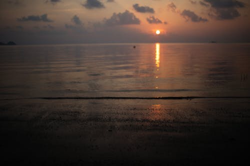 Ocean View During Sunset