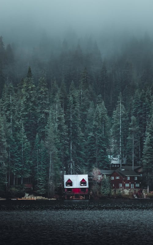 White and Red Wooden Cabin Near Forest