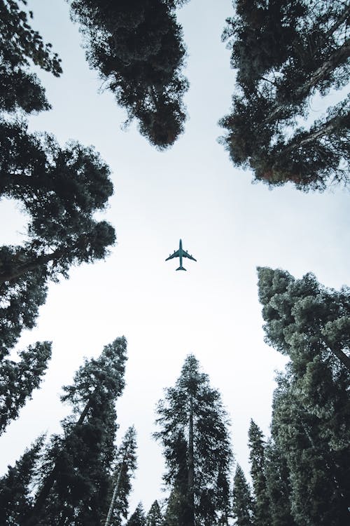 飛行機のローアングル写真