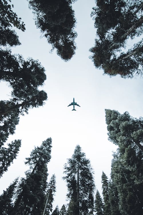 Low Angle Photo of Airplane
