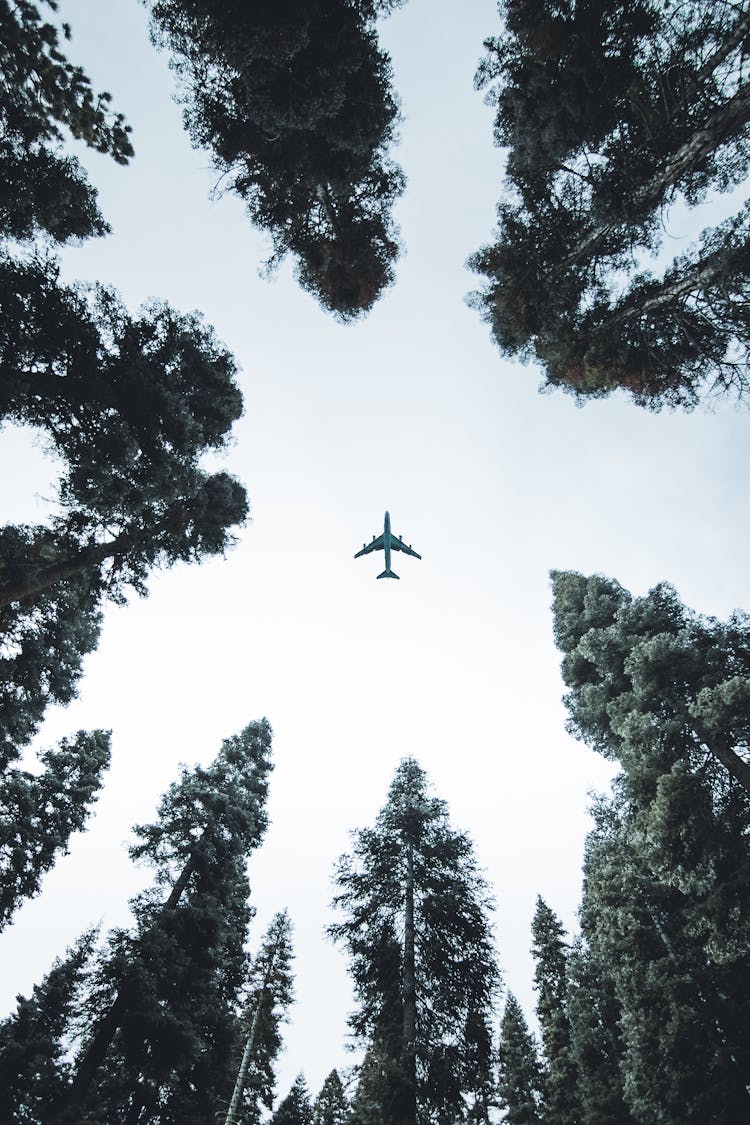 Low Angle Photo Of Airplane