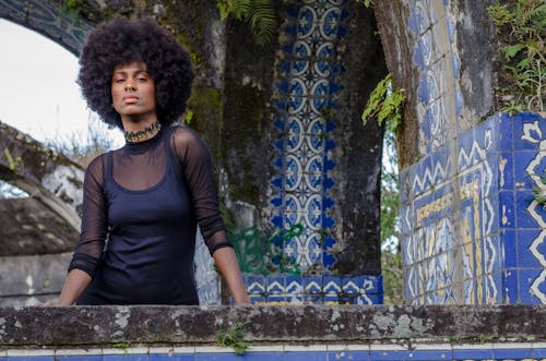 Ingyenes stockfotó afro, afro-amerikai, álló kép témában