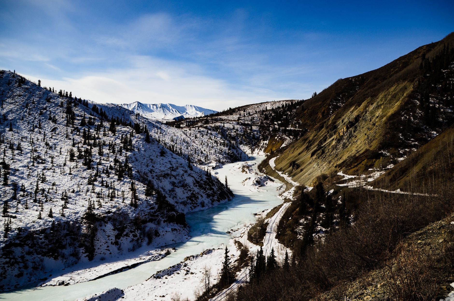 The Toughest Race on Earth: The History and Heart of the Yukon Quest