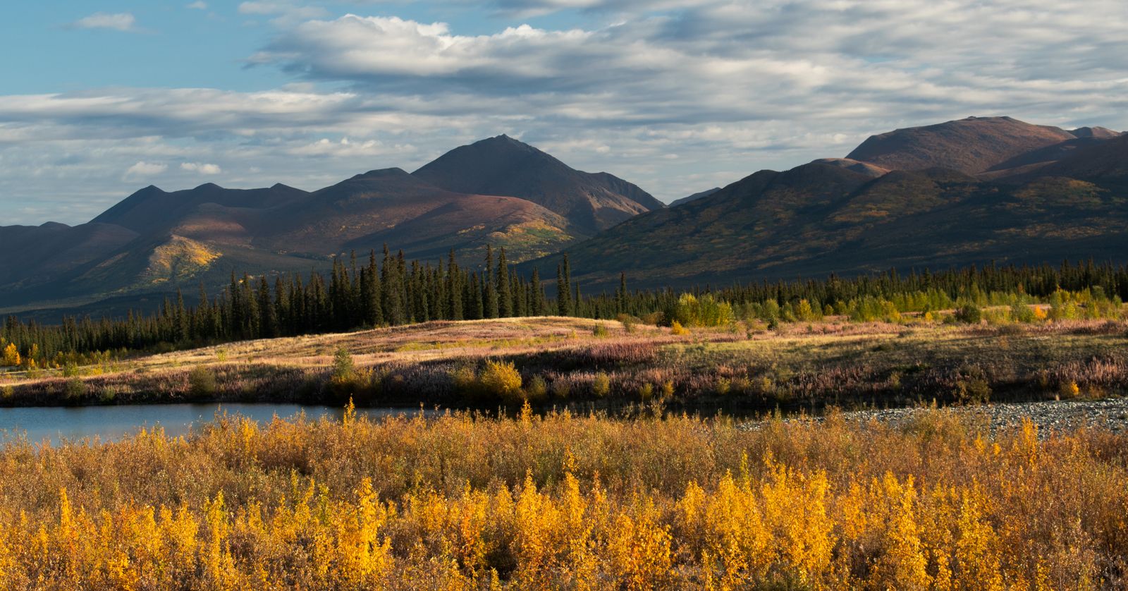 Autumn colour across the Yukon hills