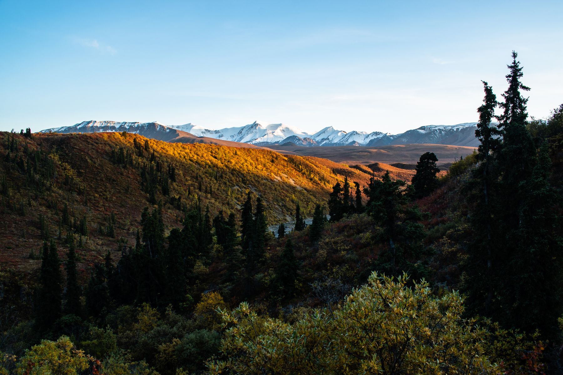 Where Yukon Locals Actually Eat — and What You'll Pay