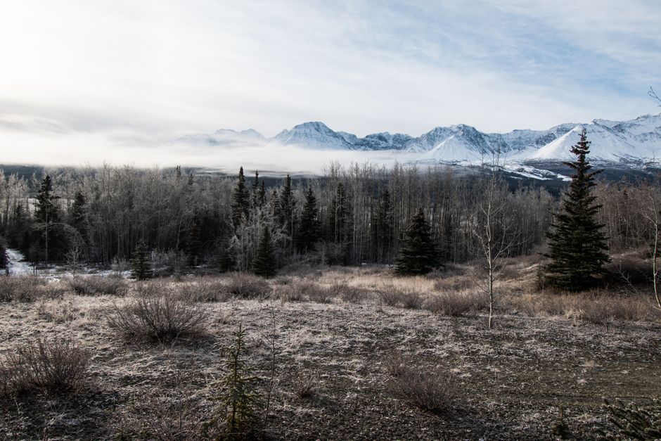Blind Yukon Birder Who Identified Birds by Ear Now Faces Fading Hearing