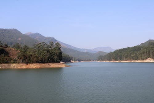 Green Trees Near Body of Water Under Blue Sky 