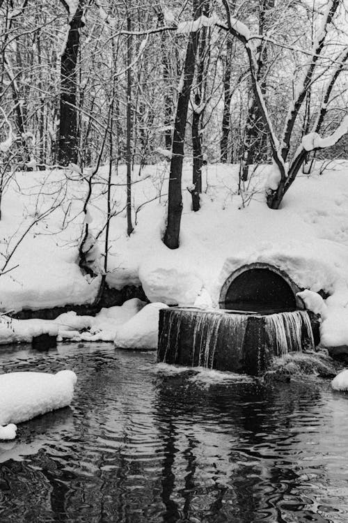 Fotobanka s bezplatnými fotkami na tému chladný, čiernobiely, čierny a biely