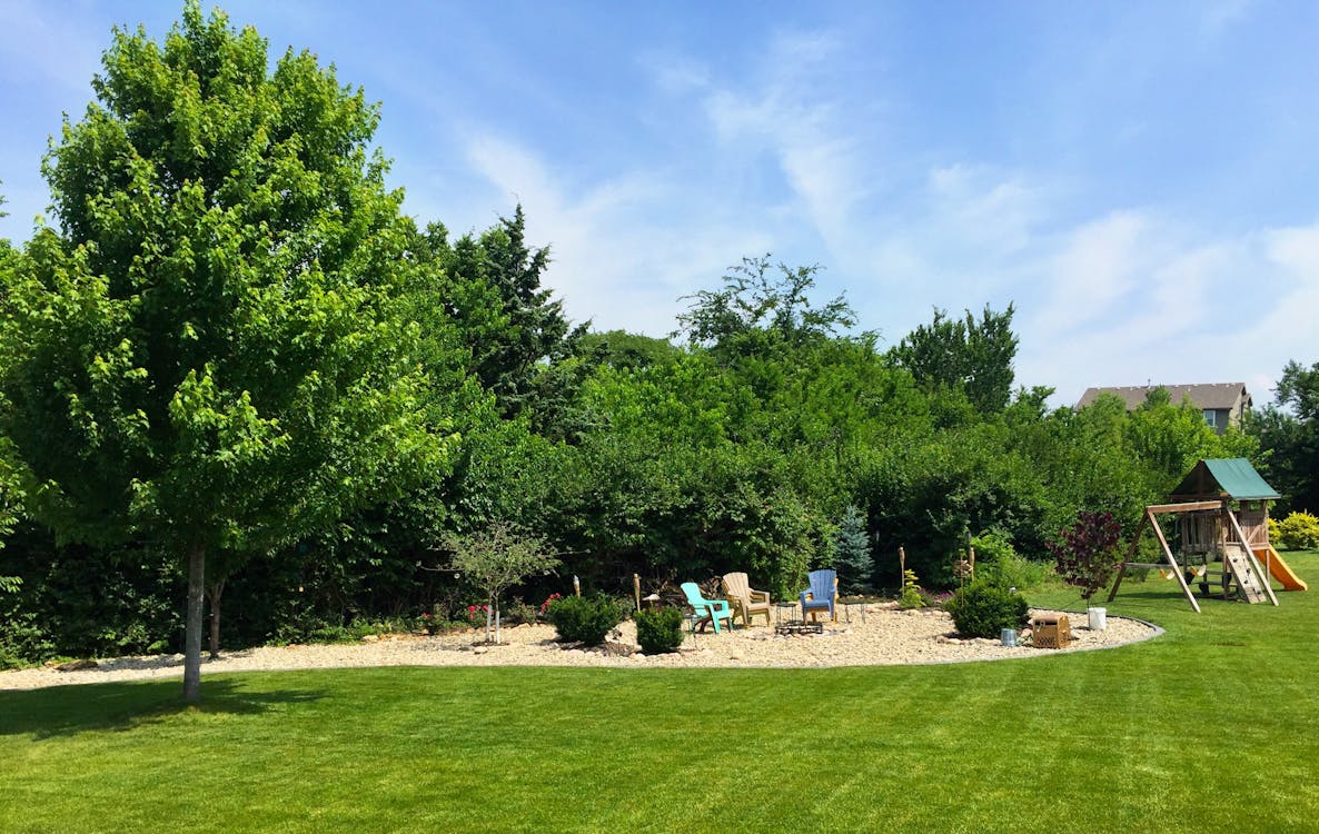 Free stock photo of backyard, landscaping Stock Photo