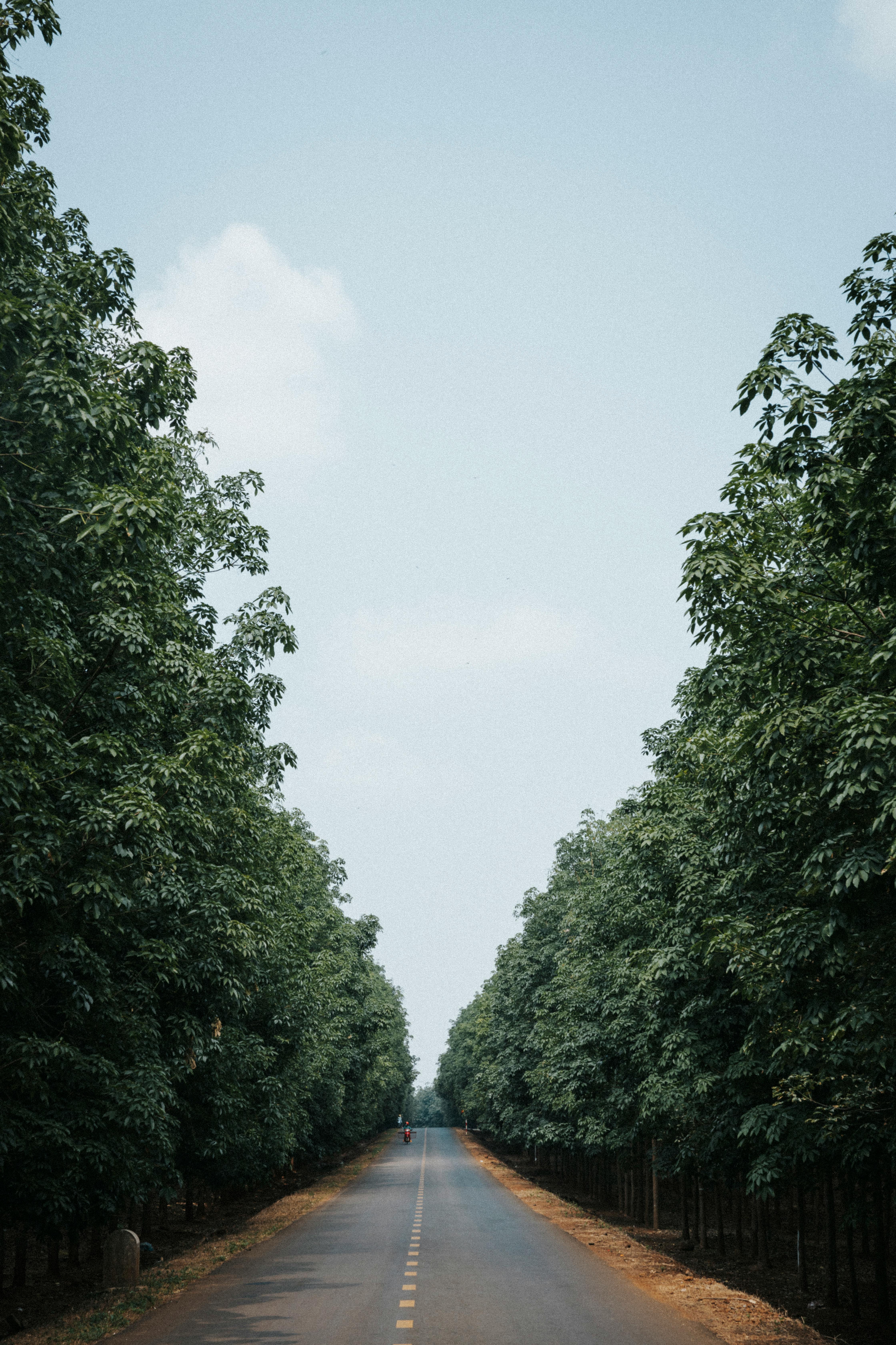 Miễn phí Ảnh lưu trữ miễn phí về bắn dọc, bình yên, cảnh đẹp Ảnh lưu trữ