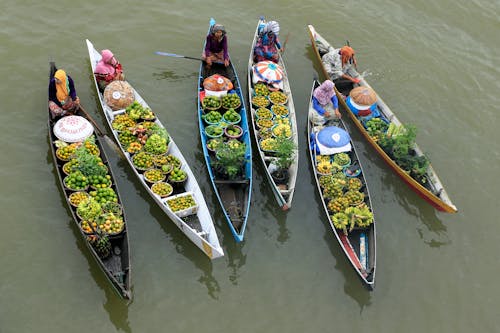 Photo of Boats with Green Fruits