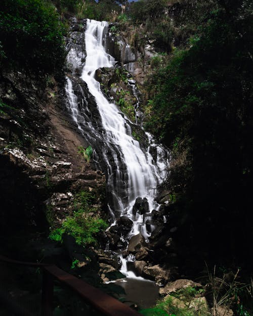 Cachoeira Na Floresta