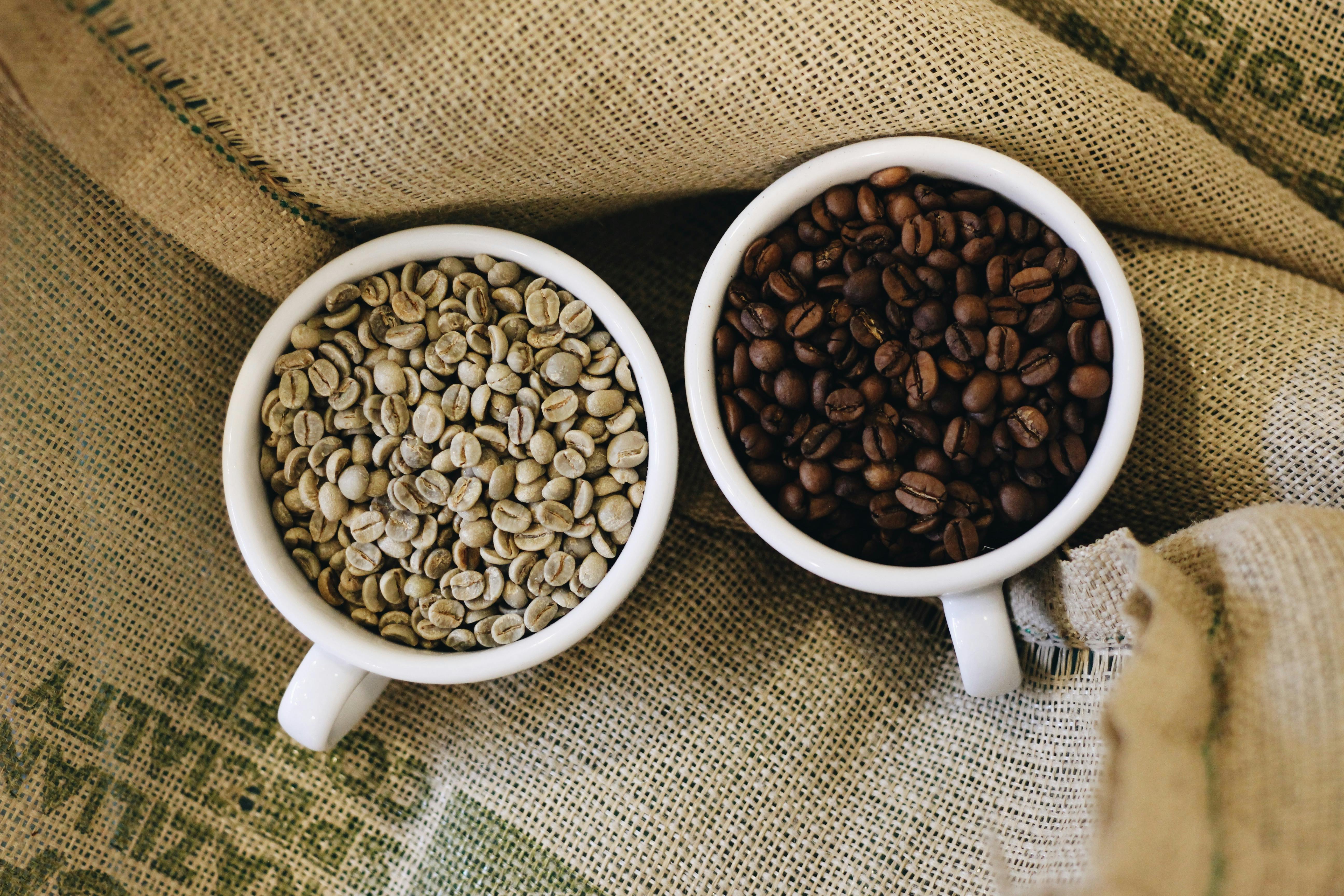 Overhead view of raw and roasted coffee beans in cups on burlap background.