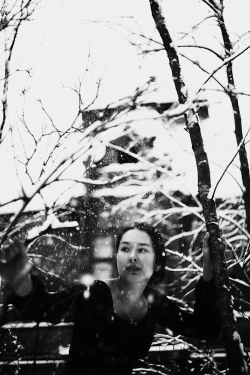 A Woman Sitting Near the Bare Trees