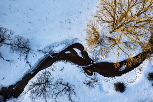 Brown Leafless Tree on Snow Covered Ground