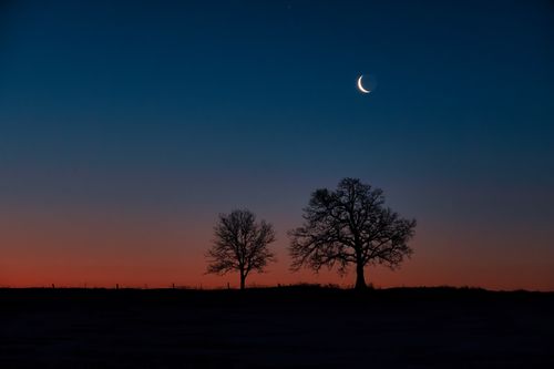 Free Beautiful silhouette of trees beneath a crescent moon during twilight in Minnesota. Stock Photo