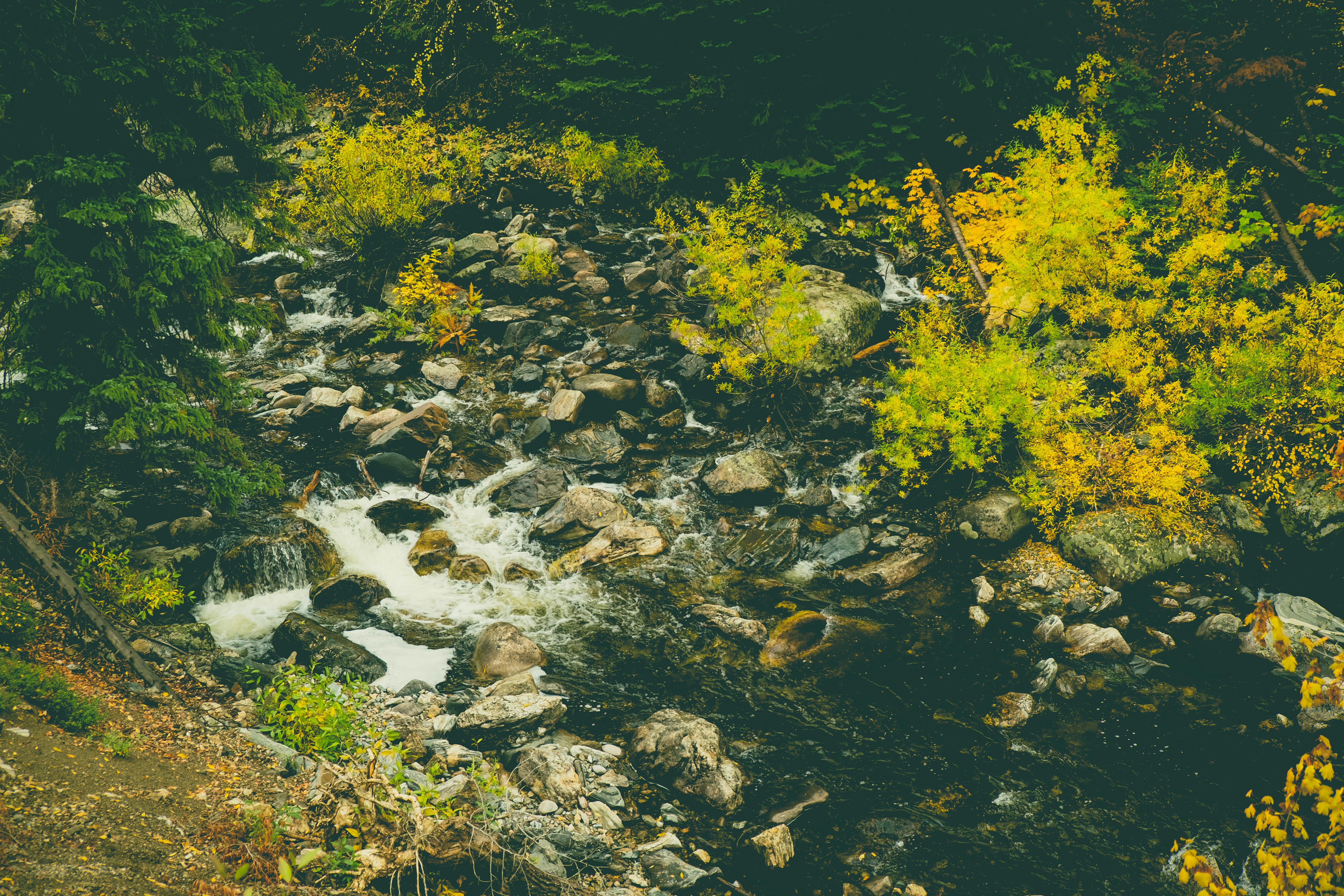 Steamboat Springs