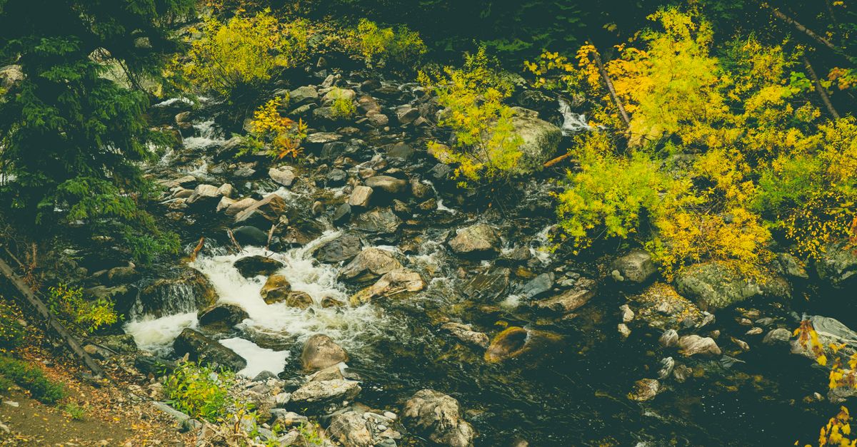 A tranquil creek surrounded by vibrant autumn foliage and rocks in Steamboat Springs, Colorado.