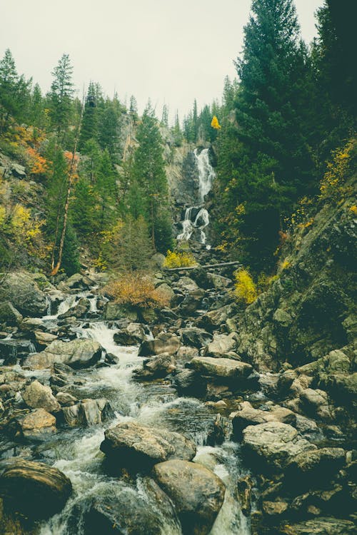 Foto profissional grátis de cachoeiras, corrente, floresta