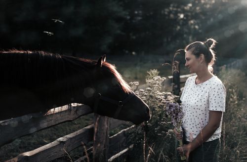 Free A woman standing next to a horse by a fence, holding flowers in the countryside during sunset. Stock Photo