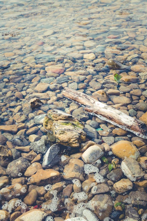무료 강, 관념적인, 돌의 무료 스톡 사진