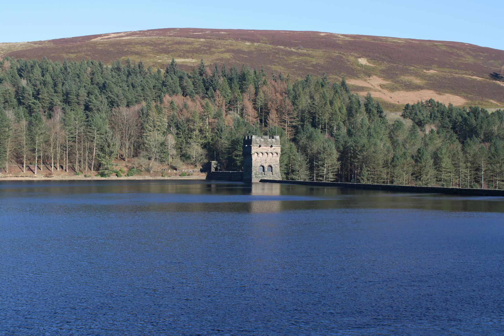 Peaceful view of Derwent Reservoir Dam with lush green trees and calm water.