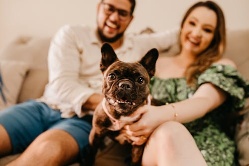 Man and Woman Holding a Dog