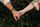 couple hands